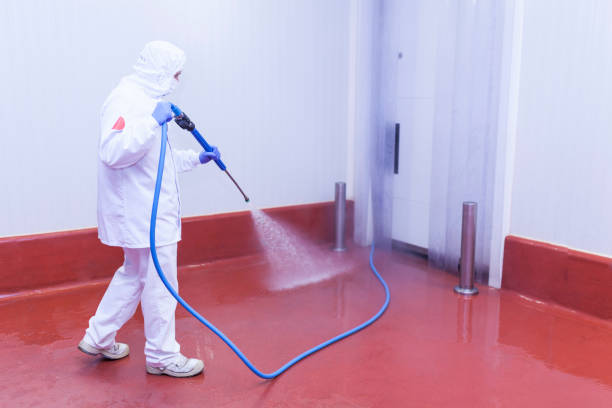 Best Playground Equipment Cleaning  in Miramar, FL